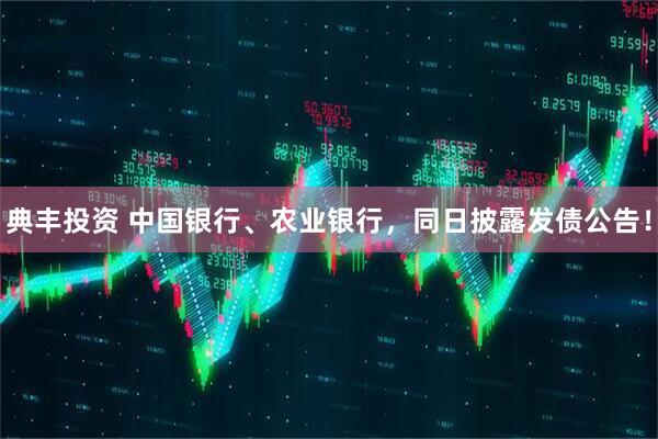 典丰投资 中国银行、农业银行，同日披露发债公告！