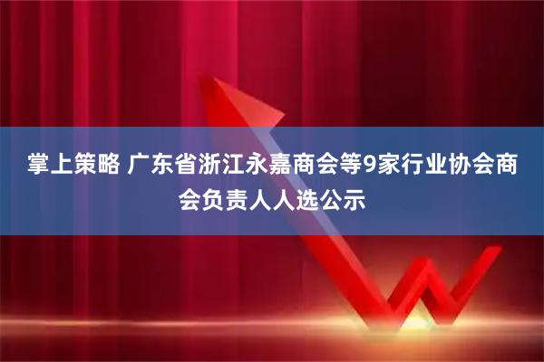 掌上策略 广东省浙江永嘉商会等9家行业协会商会负责人人选公示