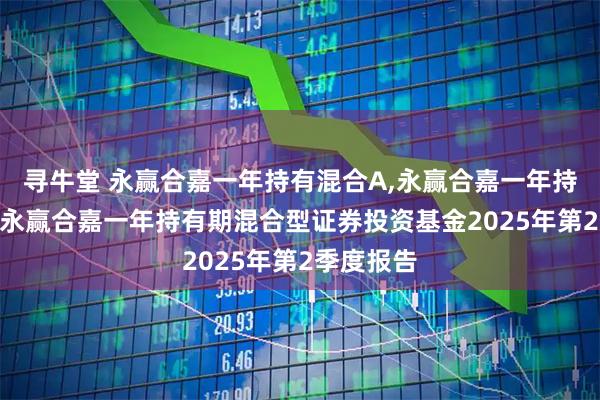 寻牛堂 永赢合嘉一年持有混合A,永赢合嘉一年持有混合C 永赢合嘉一年持有期混合型证券投资基金2025年第2季度报告