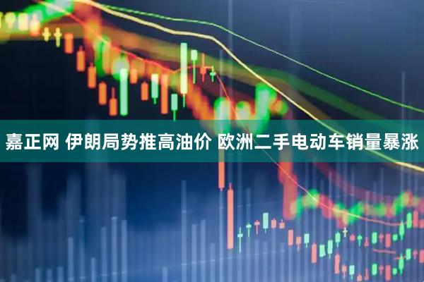 嘉正网 伊朗局势推高油价 欧洲二手电动车销量暴涨