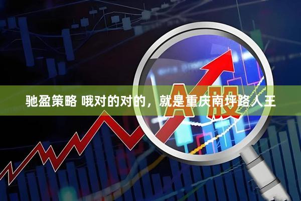 驰盈策略 哦对的对的，就是重庆南坪路人王