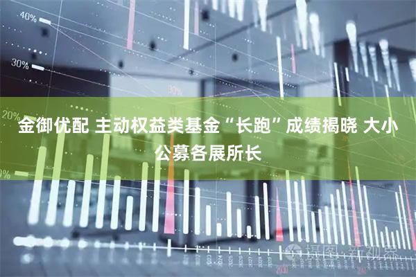 金御优配 主动权益类基金“长跑”成绩揭晓 大小公募各展所长